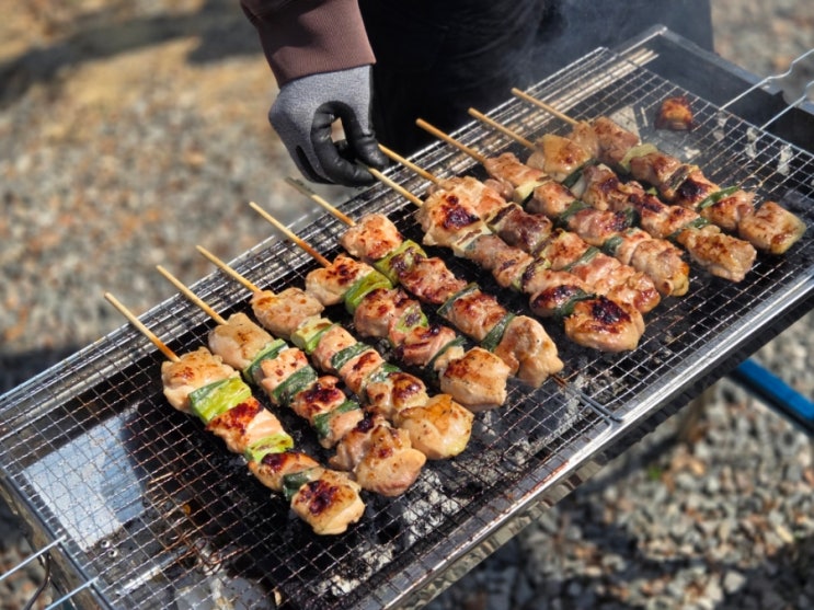  아이랑 간단한 캠핑 요리 음식 추천! 하린이네 닭꼬치, 주꾸미, 백골뱅이탕, 곱창, 백순대, 물떡어묵 (내돈내산)