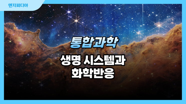 생명 시스템과 화학 반응 :: 세포, 물질대사, 효소의 작용과 특성, 세포막을 통한 물질 출입, 효소의 활용