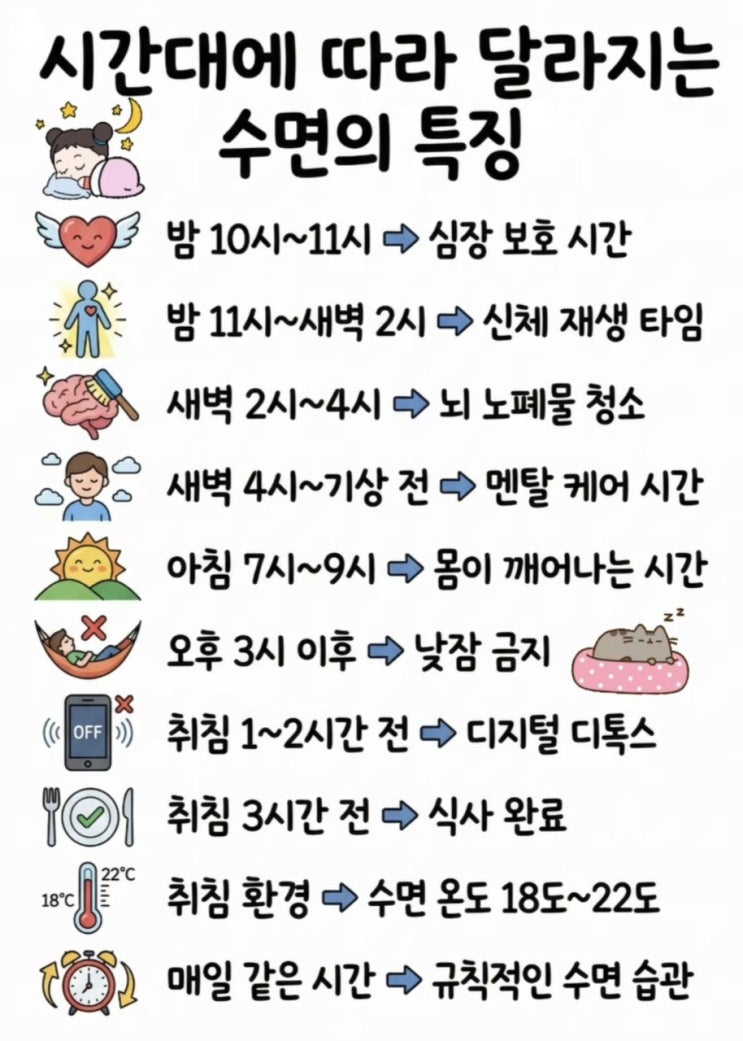  매일 피곤하다면 주목! 
