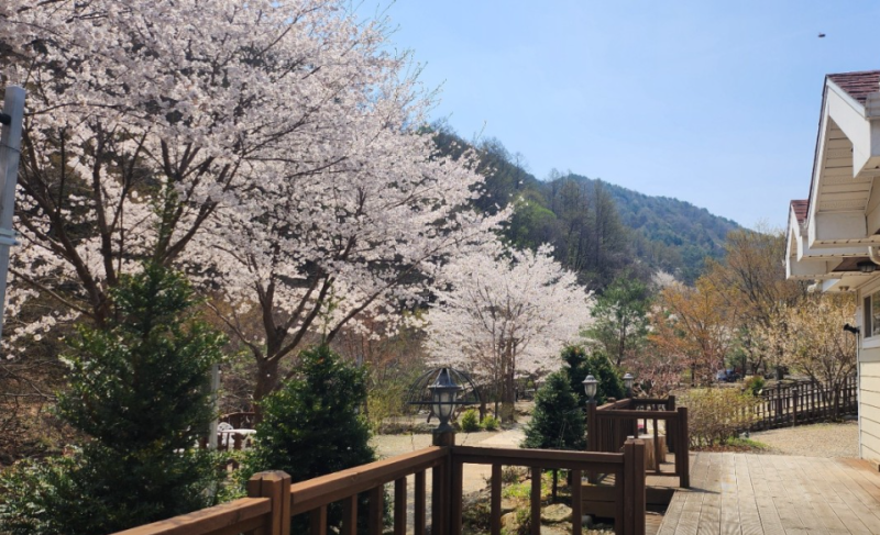 사진 4