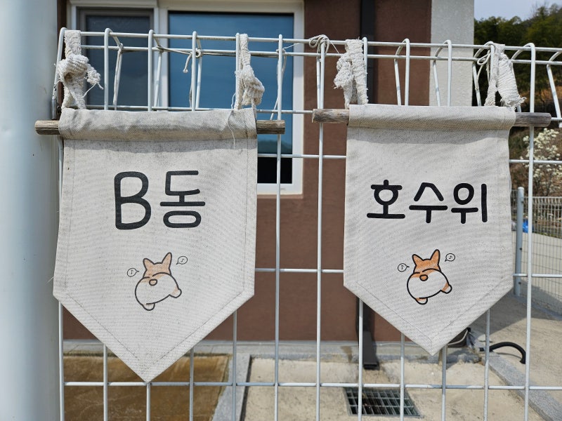호스위