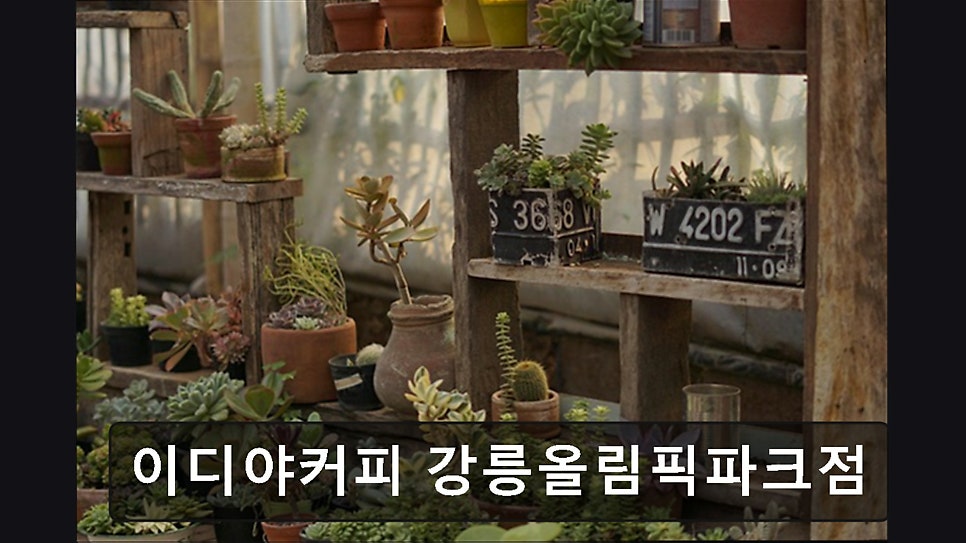 이디야커피 강릉올림픽파크점 사진 4