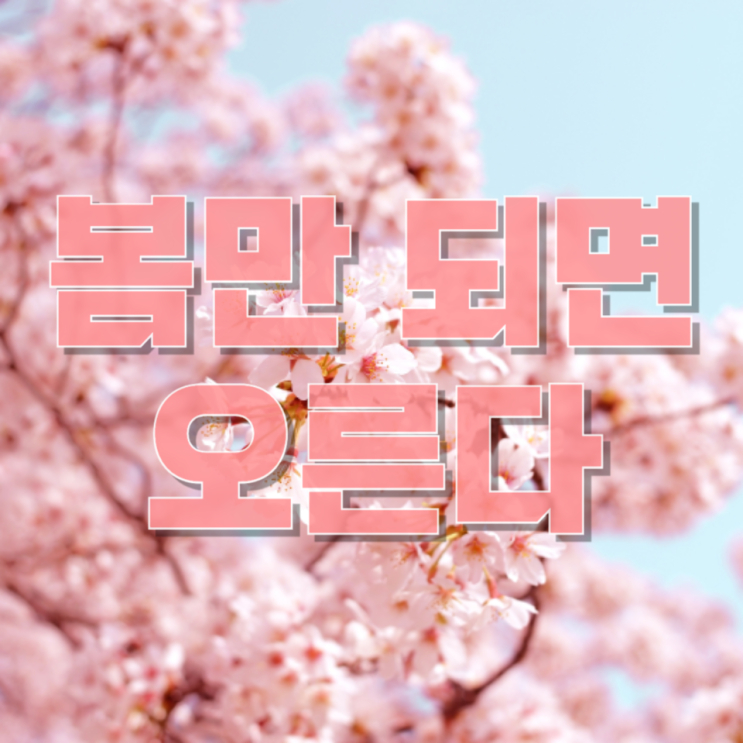  봄만 되면 오르는 주식 있다? 계절성으로 보는 유망 업종 완벽 정리