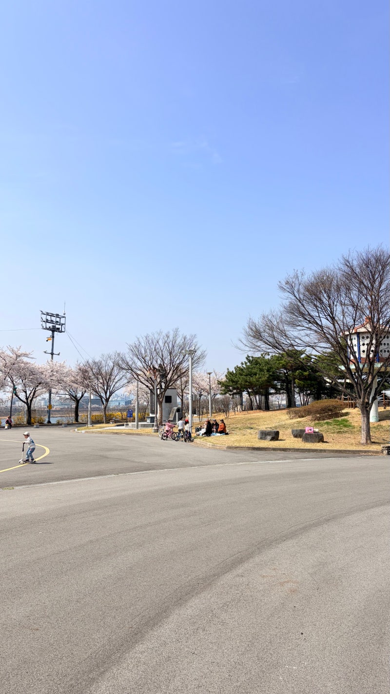 사진 6