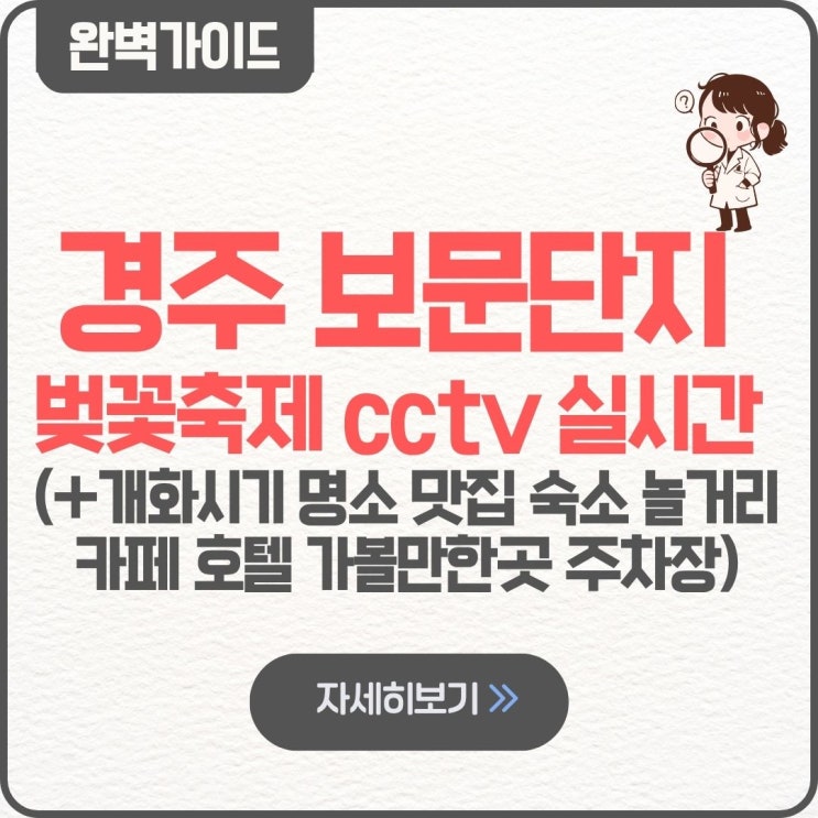  경주 보문단지 벚꽃축제 cctv 실시간 벚꽃 개화시기 명소 맛집 숙소 놀거리 카페 호텔 가볼만한곳 주차장
