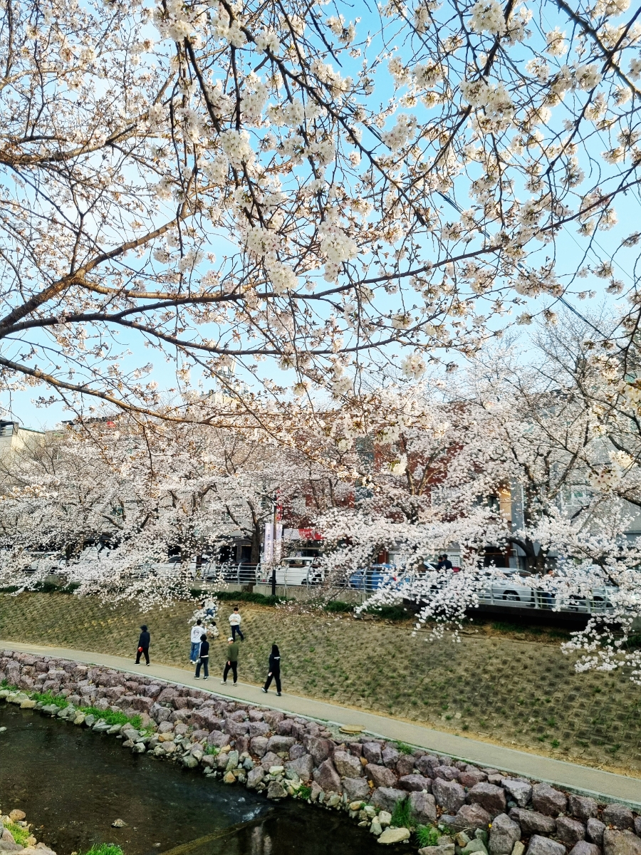 해정왕뽈데기찜 울산삼호점 사진 3