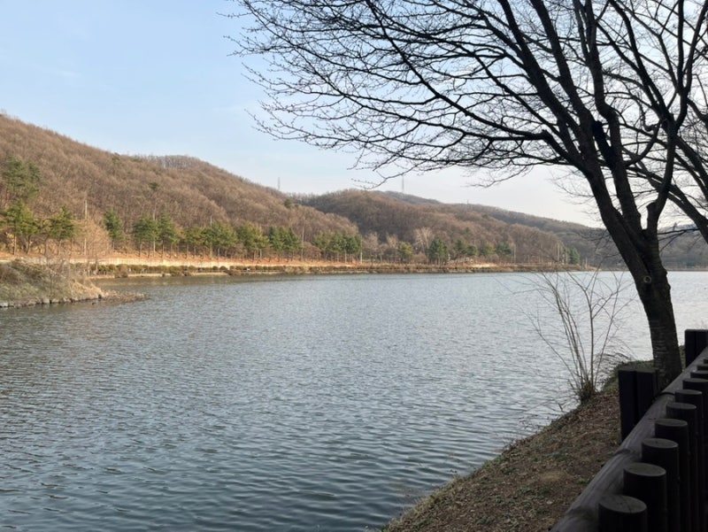 사진 5