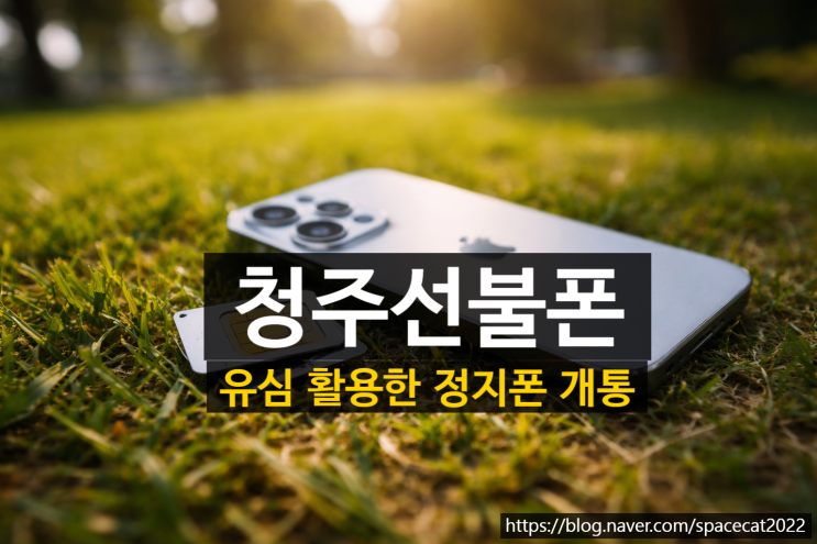  청주선불폰 유심 활용한 정지폰 개통 순서
