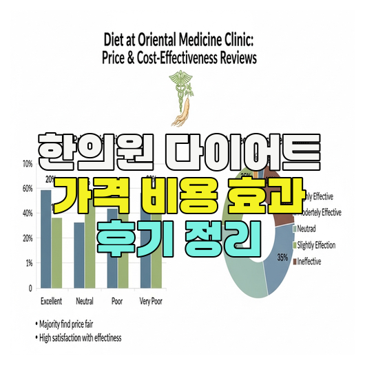  한의원 다이어트 가격 비용 효과 후기 정리