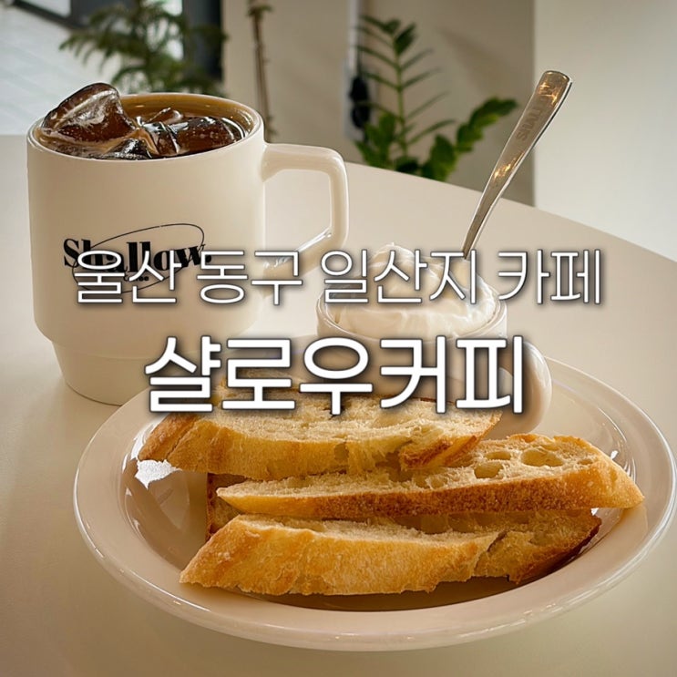  울산 동구 카페 샬로우커피 일산지 테라스파크 스탠다드 바게트 신상 디저트 대왕암 근처 애견동반 혼카 주차