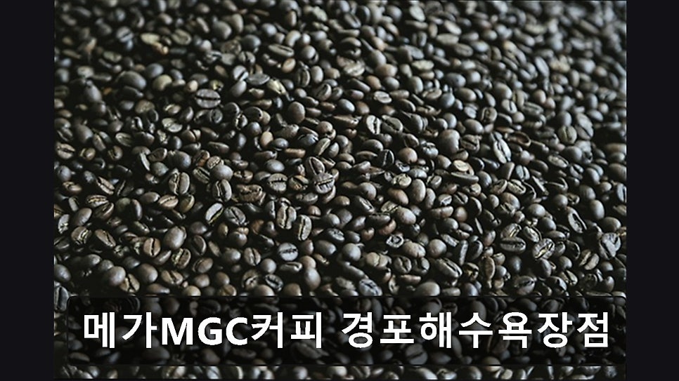 메가MGC커피 경포해수욕장점 사진 5