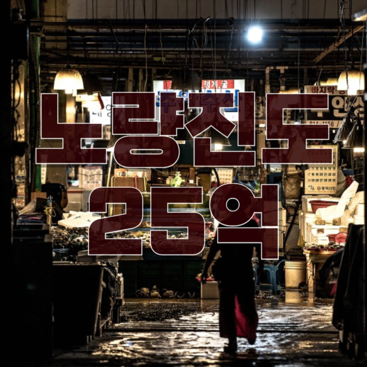  “노량진도 25억”… 비강남까지 번진 고분양가, 서울 자가의 꿈은 왜 더 멀어질까