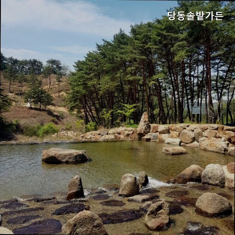 당동솔밭가든 사진 2