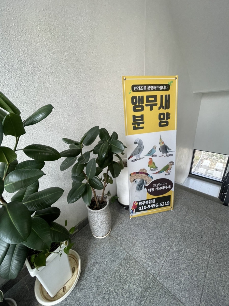 리프패럿 광주풍암점 사진 1