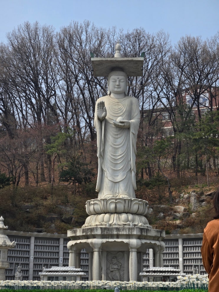  [260316,18,26,27,30] 복싱 9,10,11,12,13회 (스포엑스, 봉은사, 첫 스파링)