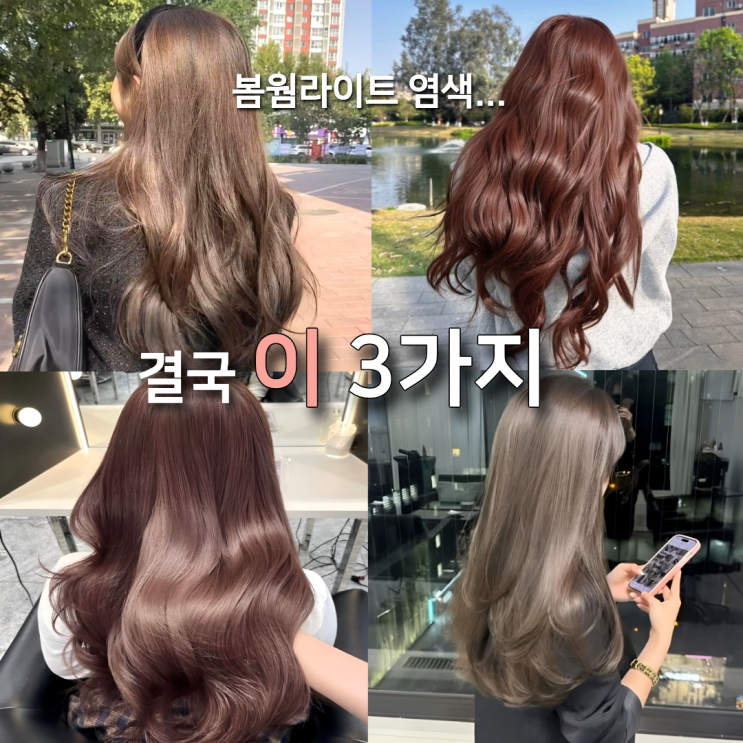  봄웜라이트 염색... 결국 '이 3가지'로 정리됩니다