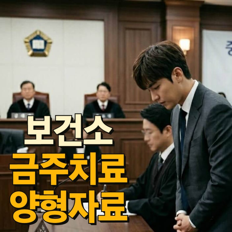  보건소와 의료기관 금주 치료 차이, 음주 재판 양형자료 인정 기준