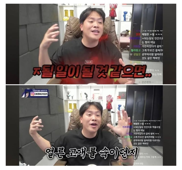  번역가의 대응에 대해 한마디하는 유튜버.jpg