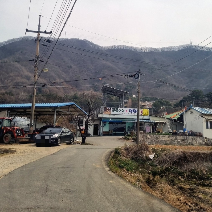 Kongkongiwacheongcheongi photo 2