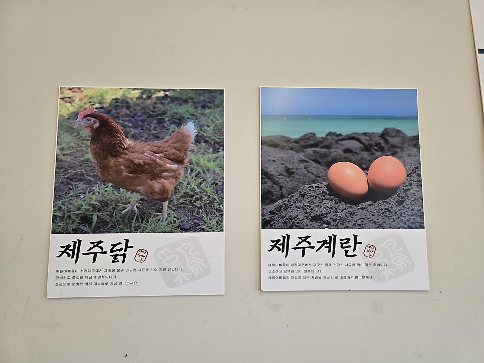 제주항 닭해장국 사진 6