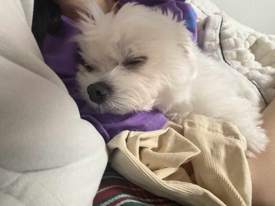 조은동물병원 사진 2