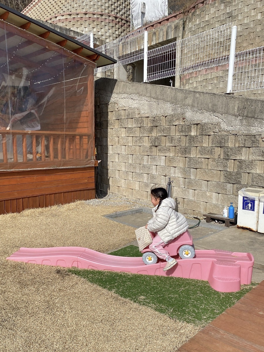 비행기나무 사진 4