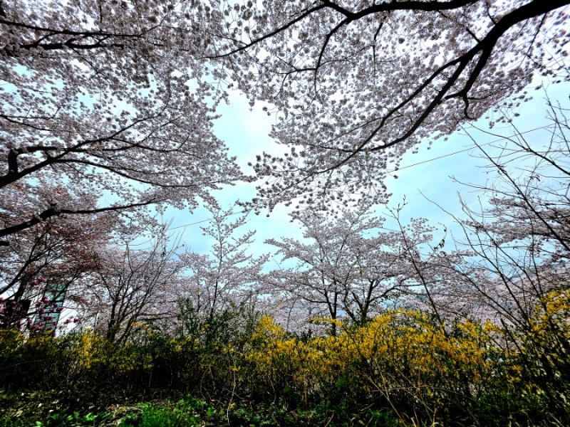 사진 4