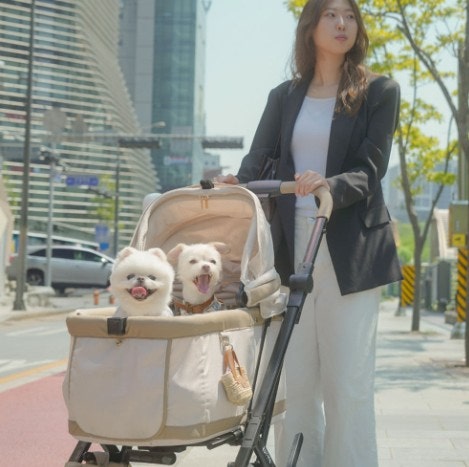 강아지 유모차 추천, 로띠에 노블레스돔A 솔직 후기 (개모차 고민 끝낸 이유)강아지 키우다 ....