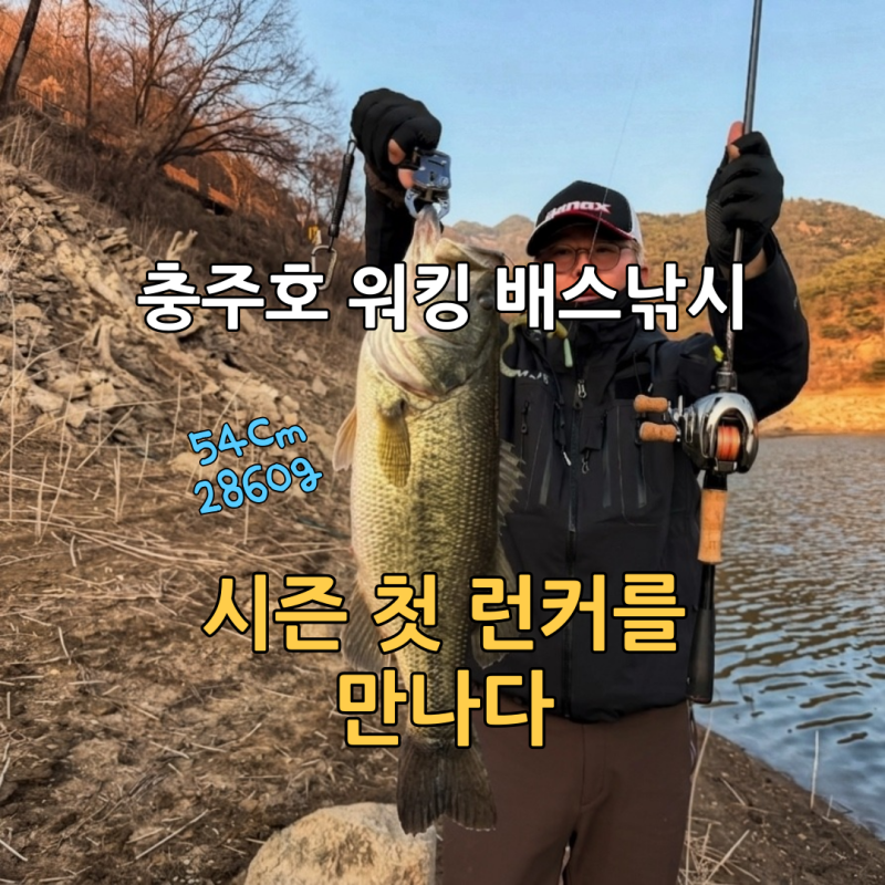 사진 8