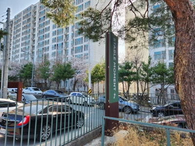사진 6