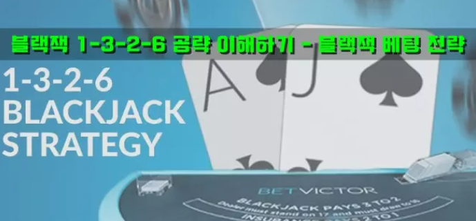  카지노 블랙잭 1-3-2-6 공략에 대해