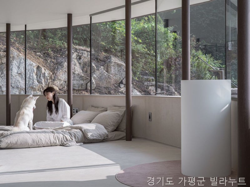 사진 6