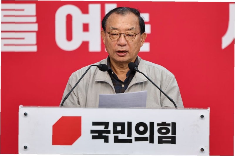 김재원, '공천 파동' 직격탄! 주호영 가처분 인용 가능성 언급…대구시장 공천 전략 부재 지....