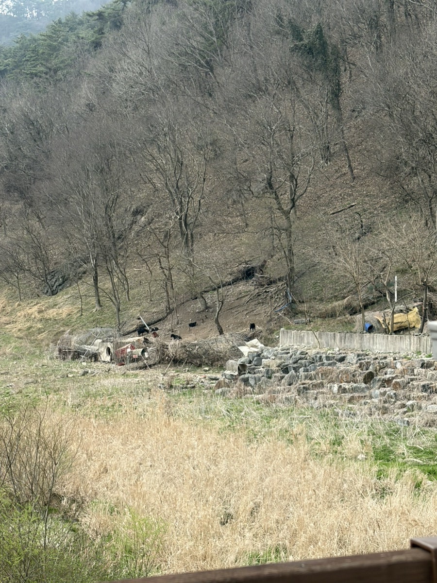 Hwemirinongjang photo 3