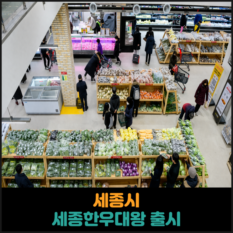  세종시, 지역 한우 브랜드 세종한우대왕 출시