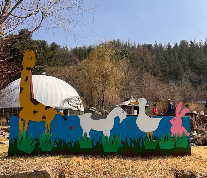 사진 2