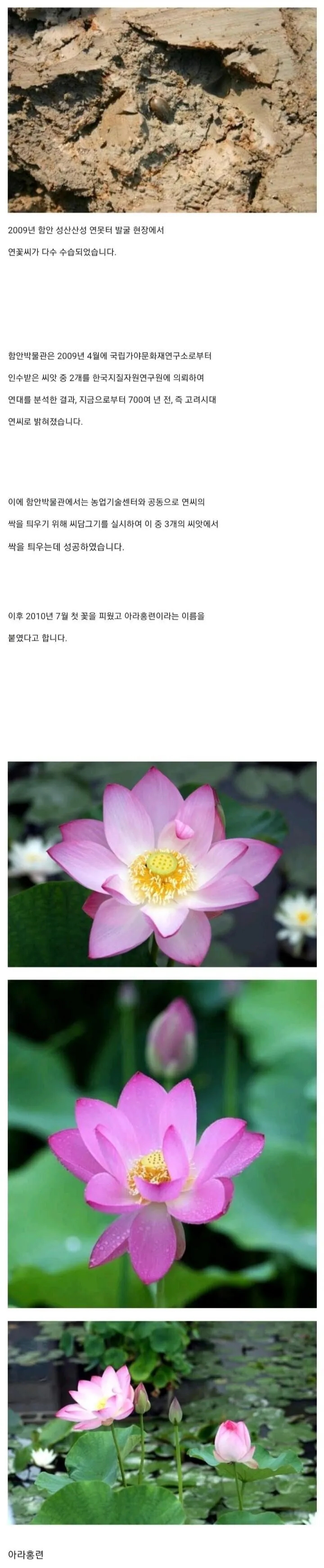  700년만 **아.jpg