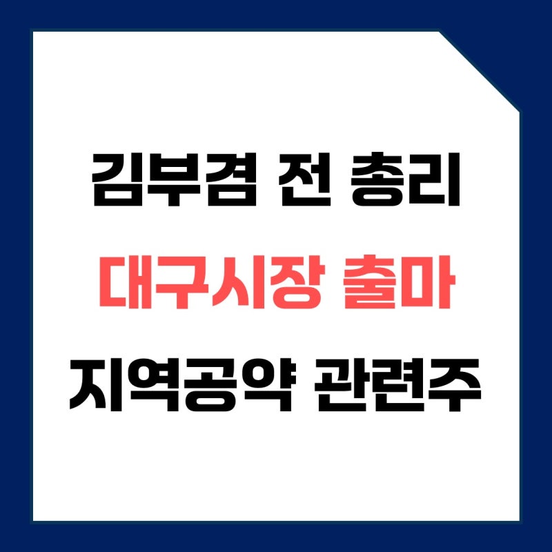김부겸 전총리 대구시장 출마 지지율 여론조사 정책 공약 관련주