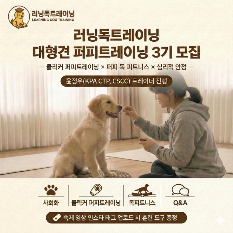 사진 2