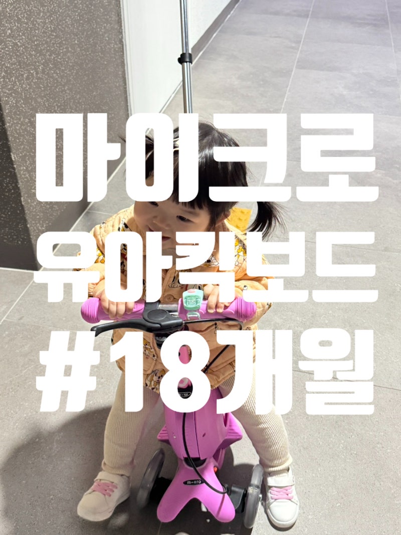 마이크로 유아킥보드 미니투고 18개월 아기 외출템 추천3in1솔직 후기