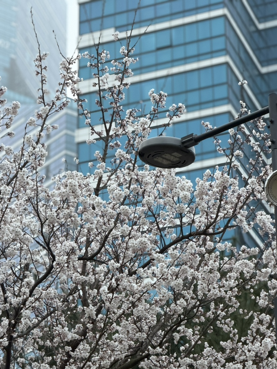 만화카페 비지트 새롬점