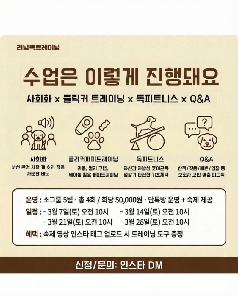 사진 3