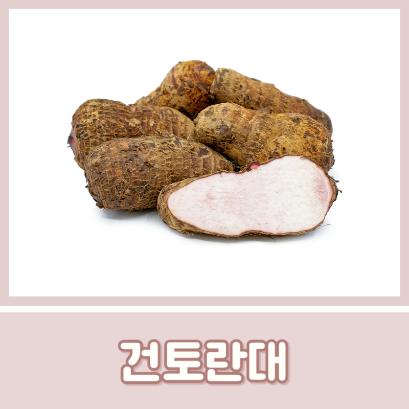 건토란대 효능과 아린맛 제거법, 독성 없는 손질 가이드