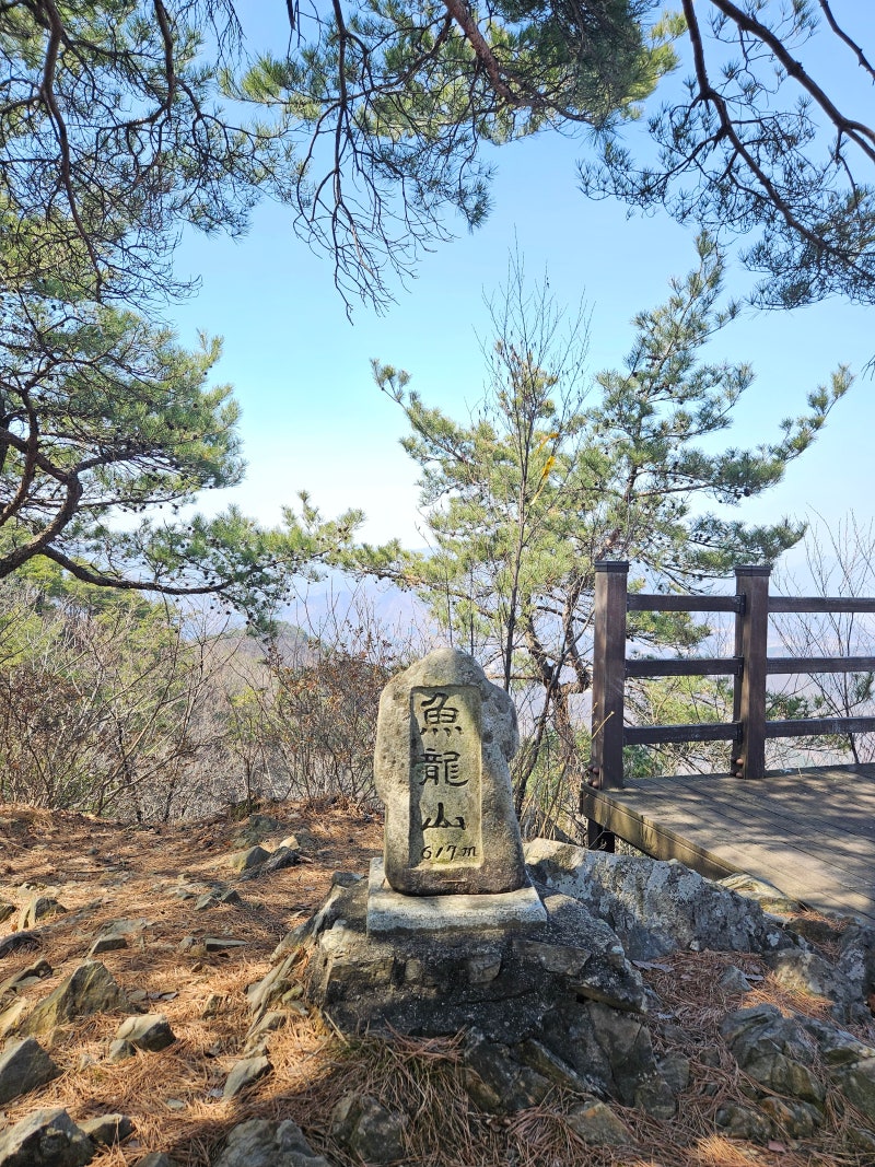어룡산(경북 문경)