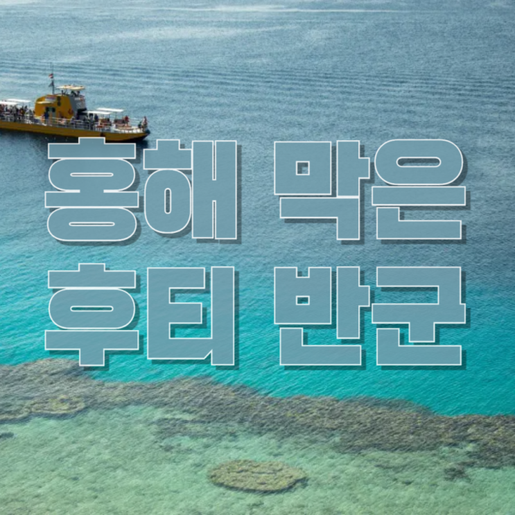  홍해를 틀어쥔 후티 반군… 한국 ‘유럽 수출길’이 위험해진 진짜 이유