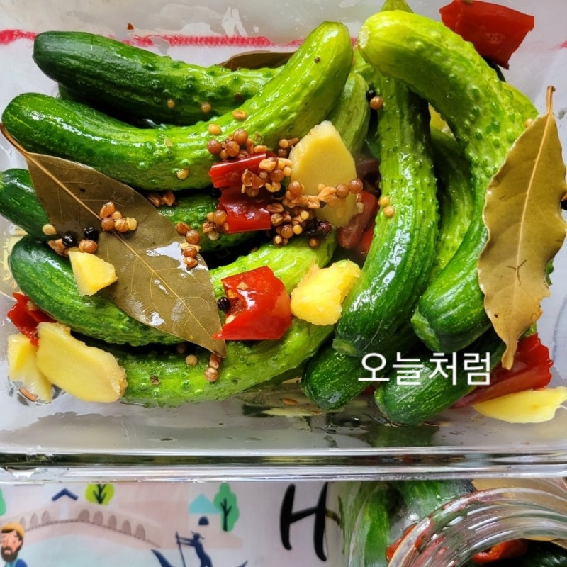 조선 오이 피클 레시피 미니 오이 피클 만드는 법 오이 피클 만들기