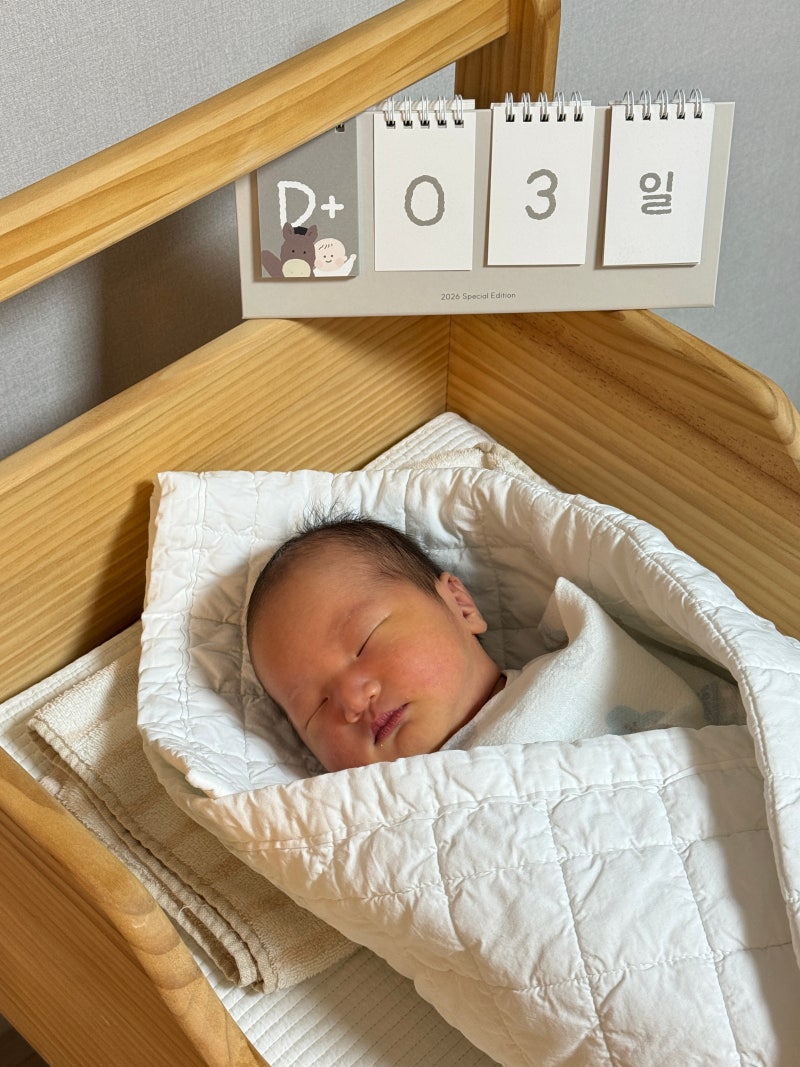 순천 미즈산후조리원 프리미엄 후기 :: 내부시설 식단 교육프로그램 참여후기 (사진많음주의....
