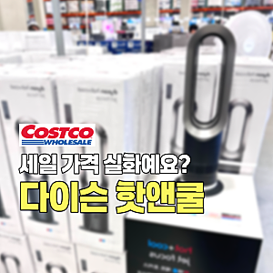 세일 가격 실화? 코스트코 DYSON 다이슨 냉온풍기 핫앤쿨 AM09 할인 가격 제트포커스 선풍기 사....