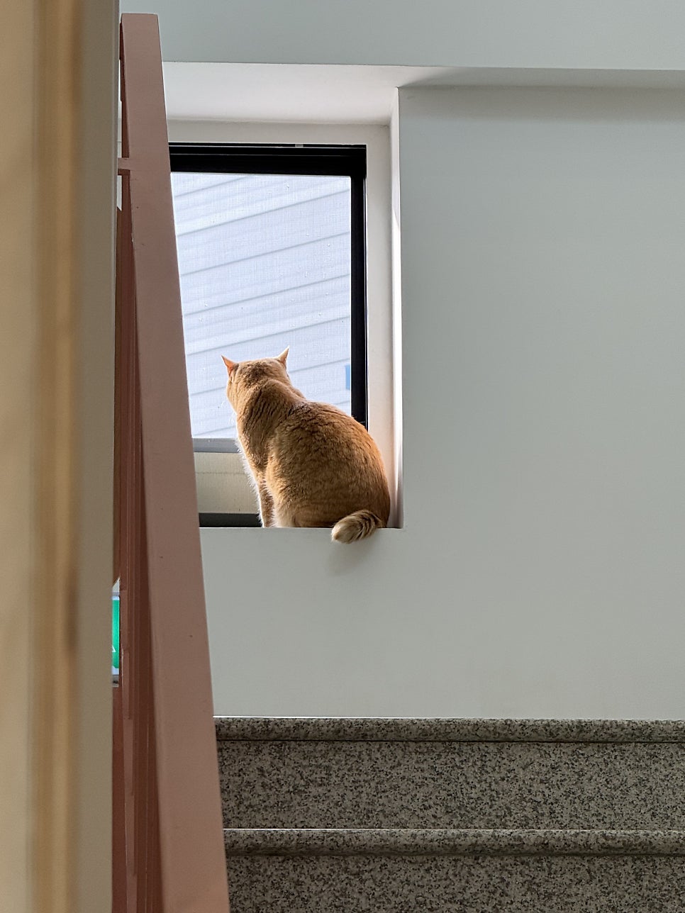 안녕 고영희 사진 6