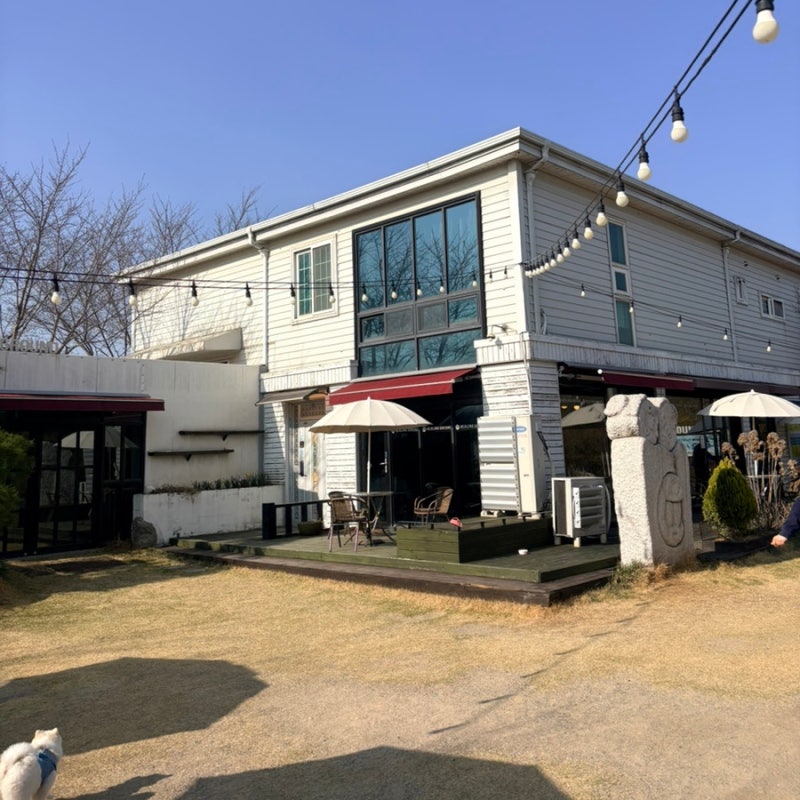 사진 5